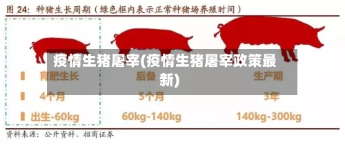疫情生猪屠宰(疫情生猪屠宰政策最新)