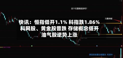 快讯：恒指低开1.1% 科指跌1.86% 科网股	、黄金股普跌 存储概念低开 油气股逆势上涨-第3张图片