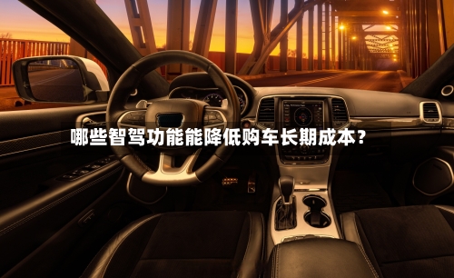 哪些智驾功能能降低购车长期成本？-第2张图片