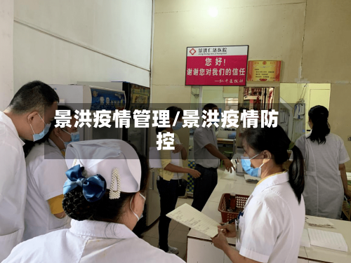 景洪疫情管理/景洪疫情防控