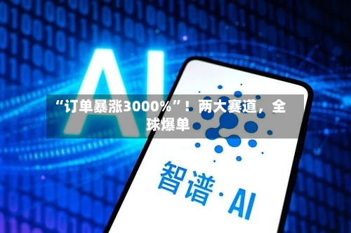 “订单暴涨3000%”！两大赛道	，全球爆单-第3张图片