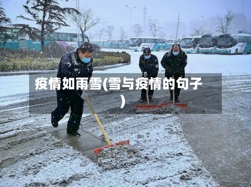 疫情如雨雪(雪与疫情的句子)-第3张图片