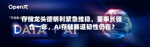 存储龙头德明利紧急维稳，董事长锁仓一年，AI存储赛道韧性仍在？-第2张图片