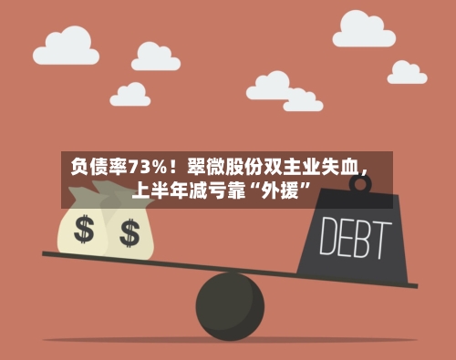 负债率73%！翠微股份双主业失血	，上半年减亏靠“外援”-第3张图片