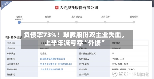 负债率73%！翠微股份双主业失血	，上半年减亏靠“外援	”-第2张图片