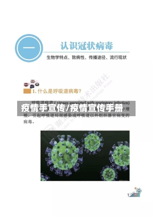 疫情手宣传/疫情宣传手册-第2张图片