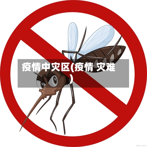 疫情中灾区(疫情 灾难)