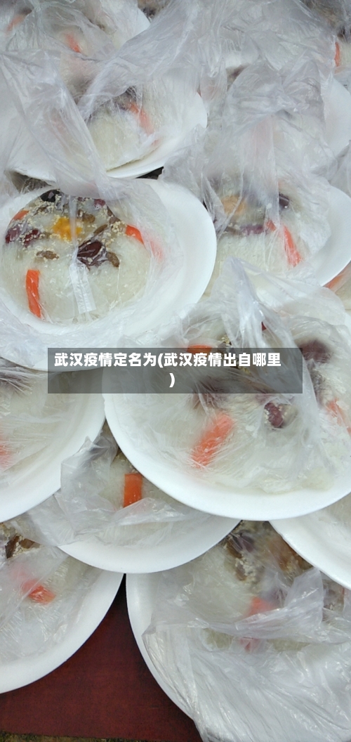 武汉疫情定名为(武汉疫情出自哪里)