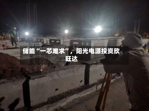 储能“一芯难求”，阳光电源投资欣旺达-第2张图片