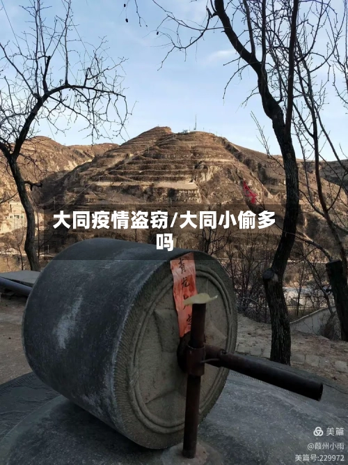 大同疫情盗窃/大同小偷多吗-第2张图片