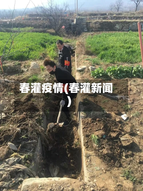 春灌疫情(春灌新闻)-第2张图片