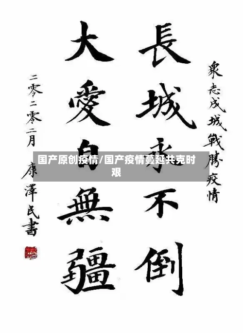 国产原创疫情/国产疫情蔓延共克时艰-第2张图片