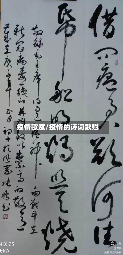 疫情歌赋/疫情的诗词歌赋-第2张图片