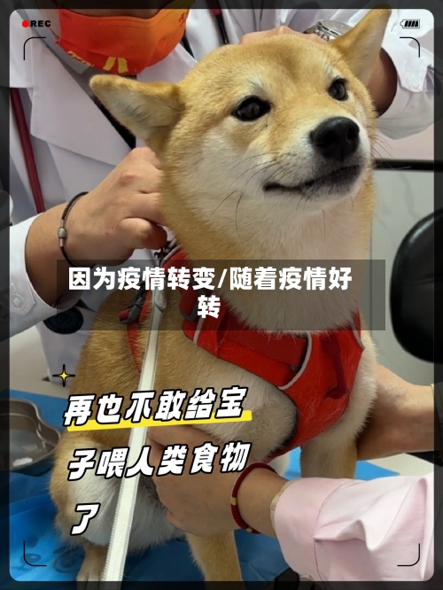 因为疫情转变/随着疫情好转-第2张图片