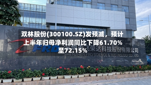 双林股份(300100.SZ)发预减，预计上半年归母净利润同比下降61.70%至72.15%-第2张图片