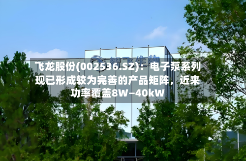 飞龙股份(002536.SZ)：电子泵系列现已形成较为完善的产品矩阵，近来功率覆盖8W―40kW-第2张图片