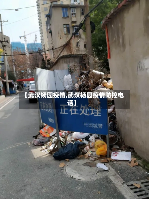 【武汉杨园疫情,武汉杨园疫情防控电话】-第2张图片