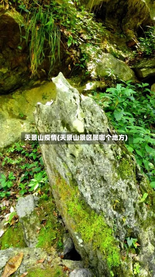 天景山疫情(天景山景区属哪个地方)