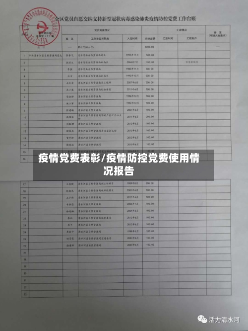 疫情党费表彰/疫情防控党费使用情况报告