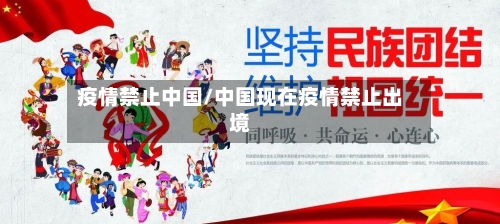 疫情禁止中国/中国现在疫情禁止出境