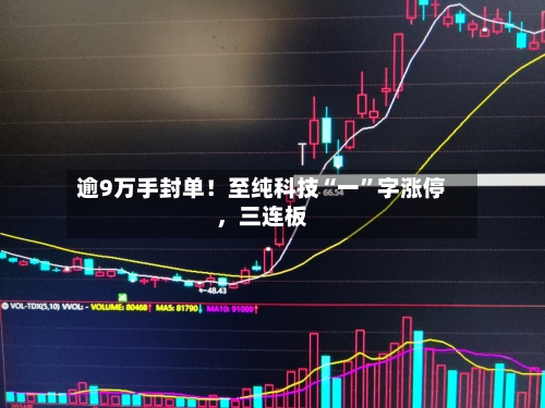 逾9万手封单！至纯科技“一”字涨停，三连板-第2张图片