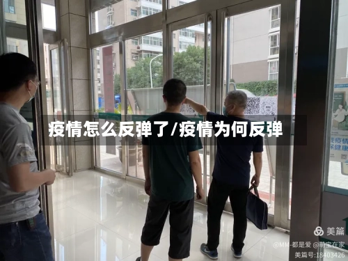 疫情怎么反弹了/疫情为何反弹-第2张图片