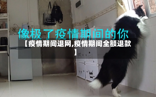 【疫情期间退网,疫情期间全额退款】-第2张图片