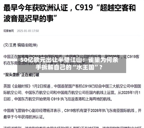 50亿欧元出让半壁江山：雀巢为何亲手拆解自己的“水王国	”？-第3张图片