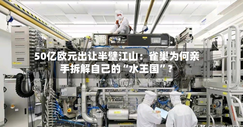 50亿欧元出让半壁江山：雀巢为何亲手拆解自己的“水王国”？-第2张图片