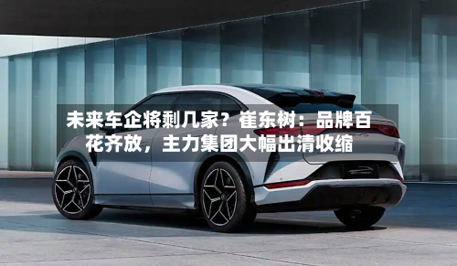 未来车企将剩几家？崔东树：品牌百花齐放，主力集团大幅出清收缩-第3张图片