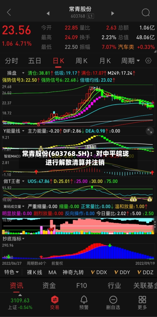 常青股份(603768.SH)：对中平皖珑进行解散清算并注销-第2张图片