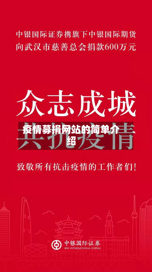 疫情募捐网站的简单介绍