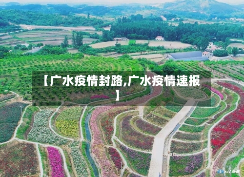 【广水疫情封路,广水疫情速报】-第3张图片