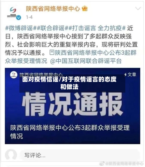 面对疫情信谣/对于疫情谣言的态度和做法