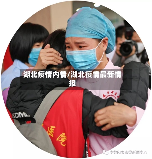 湖北疫情内情/湖北疫情最新情报