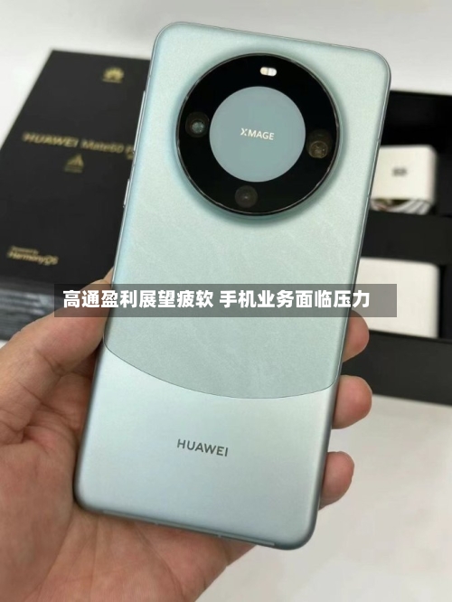 高通盈利展望疲软 手机业务面临压力-第2张图片