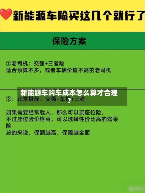 新能源车购车成本怎么算才合理?-第2张图片