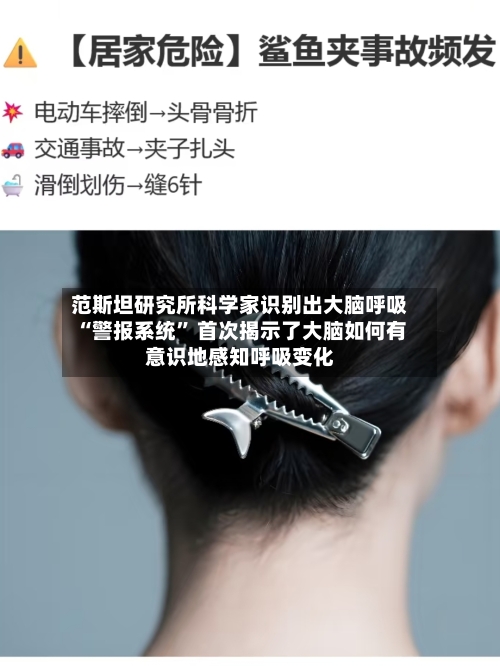 范斯坦研究所科学家识别出大脑呼吸“警报系统” 首次揭示了大脑如何有意识地感知呼吸变化-第2张图片