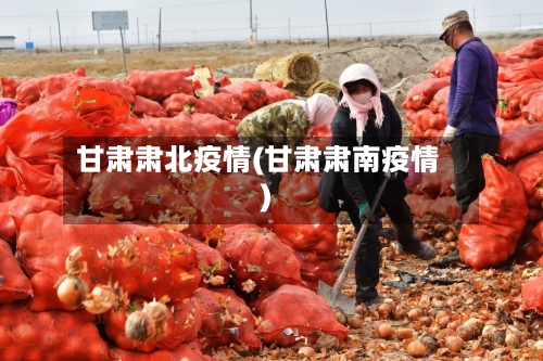 甘肃肃北疫情(甘肃肃南疫情)