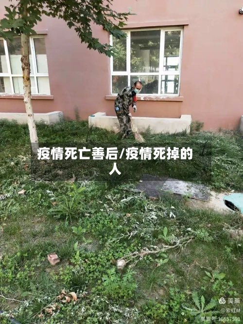 疫情死亡善后/疫情死掉的人-第3张图片