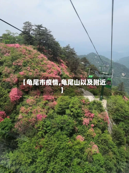 【龟尾市疫情,龟尾山以及附近】