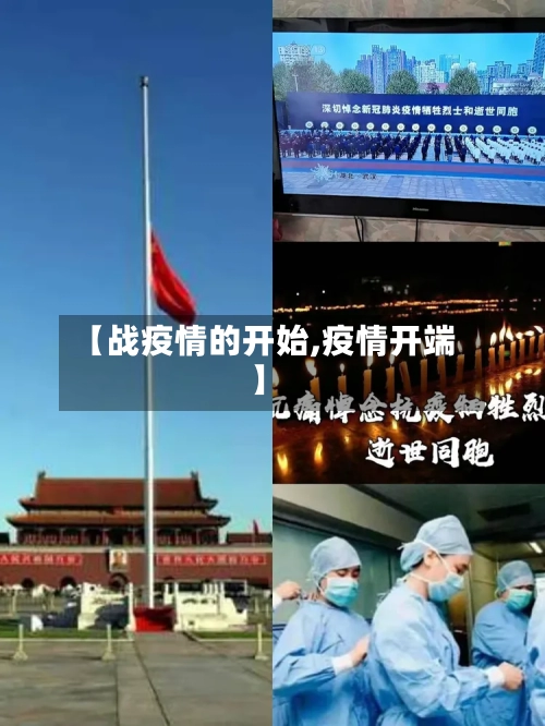 【战疫情的开始,疫情开端】-第2张图片