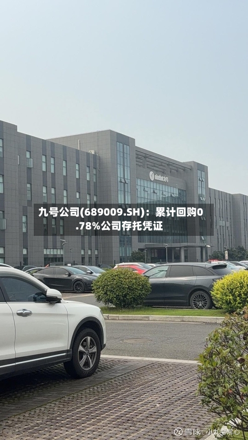 九号公司(689009.SH):累计回购0.78%公司存托凭证-第2张图片