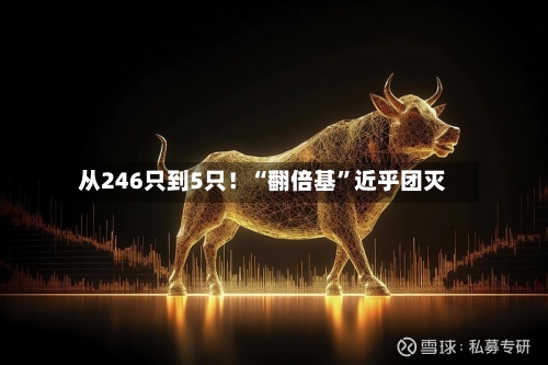 从246只到5只！“翻倍基”近乎团灭-第2张图片
