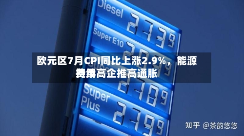 欧元区7月CPI同比上涨2.9%，能源费用持续高企推高通胀-第2张图片