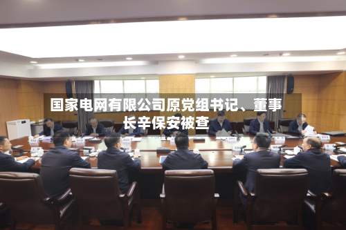 国家电网有限公司原党组书记	、董事长辛保安被查-第2张图片