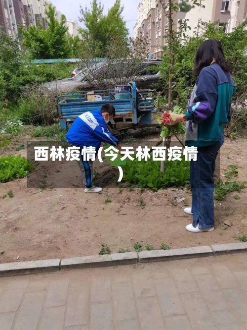 西林疫情(今天林西疫情)