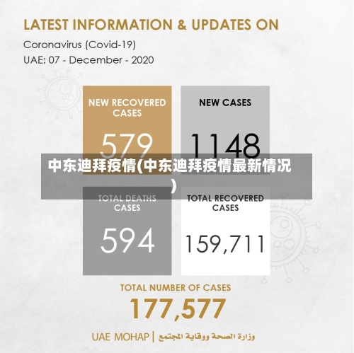 中东迪拜疫情(中东迪拜疫情最新情况)