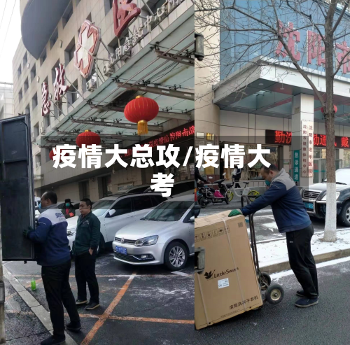 疫情大总攻/疫情大考-第2张图片