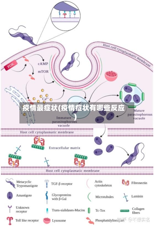 疫情最症状(疫情症状有哪些反应)
